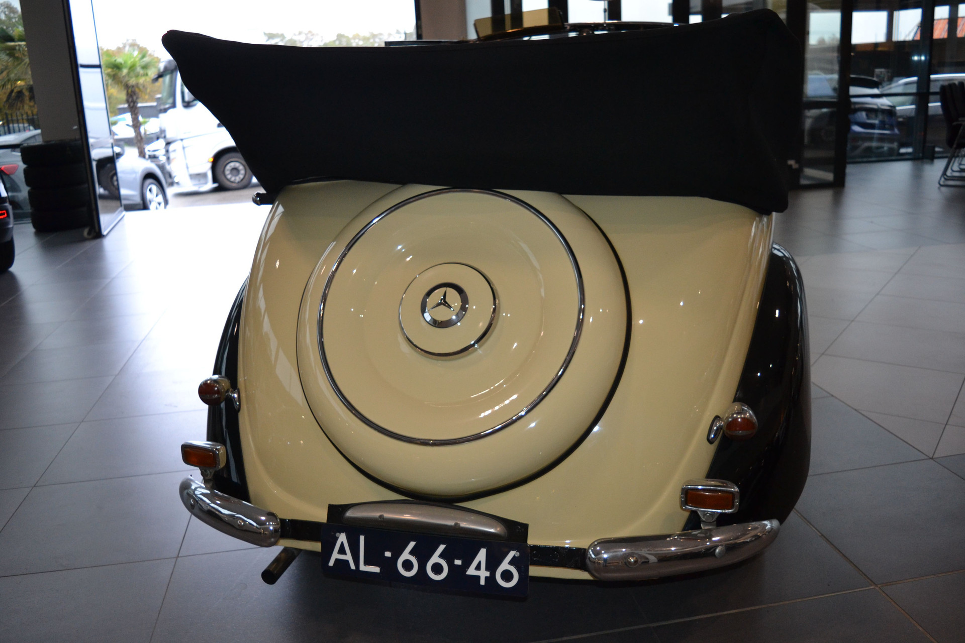 37814276-24.jpg