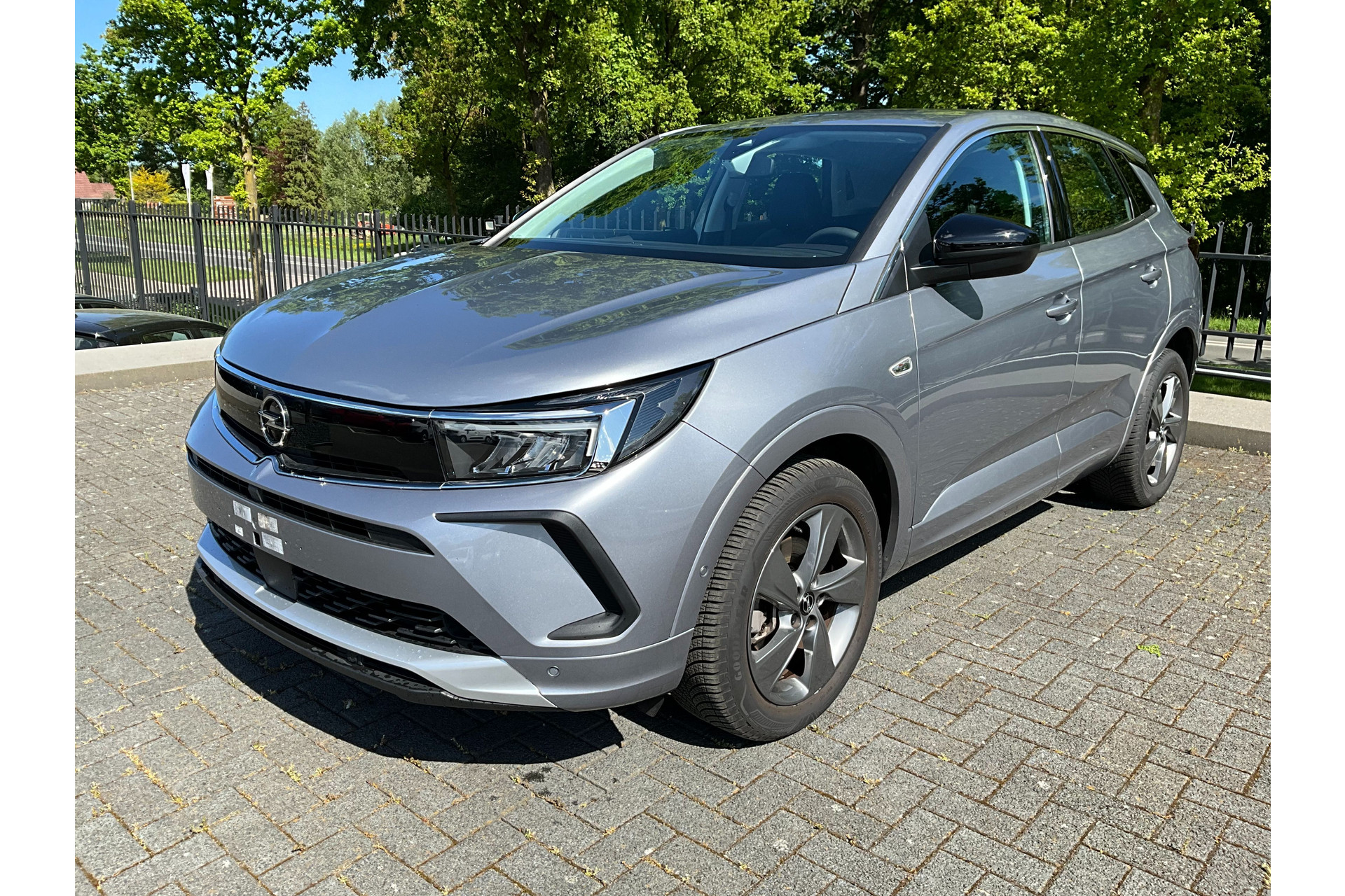 41207445-55.jpg