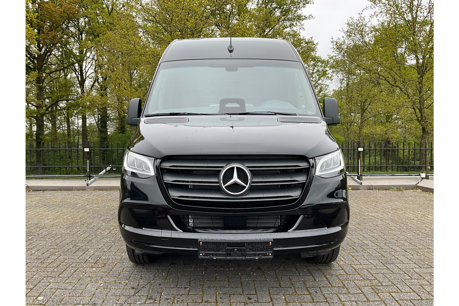 44859984-6.jpg