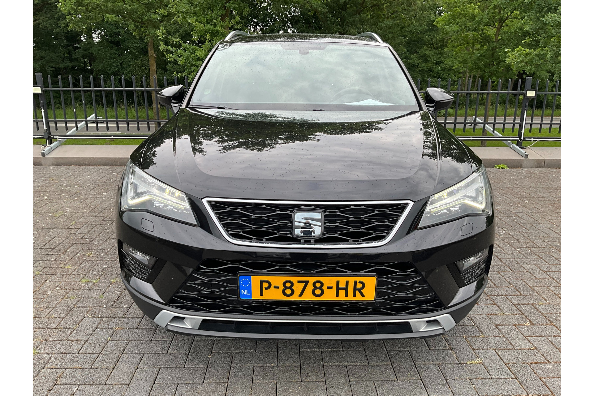 45455059-3.jpg