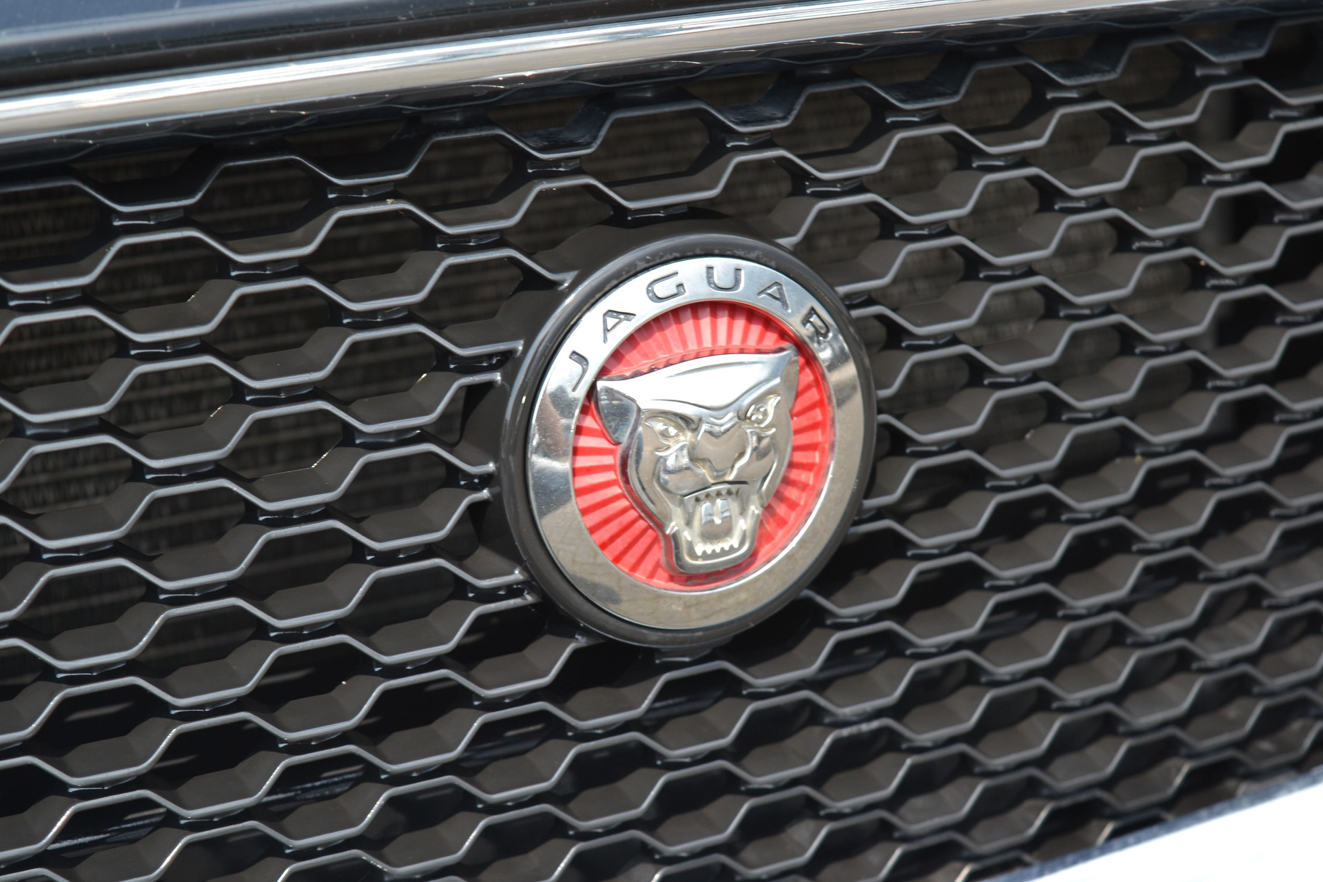 45788431-33.jpg