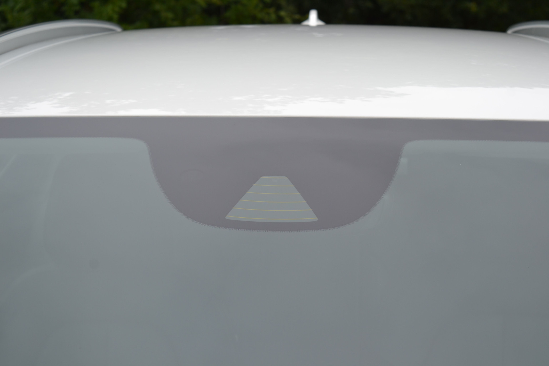 45955981-25.jpg