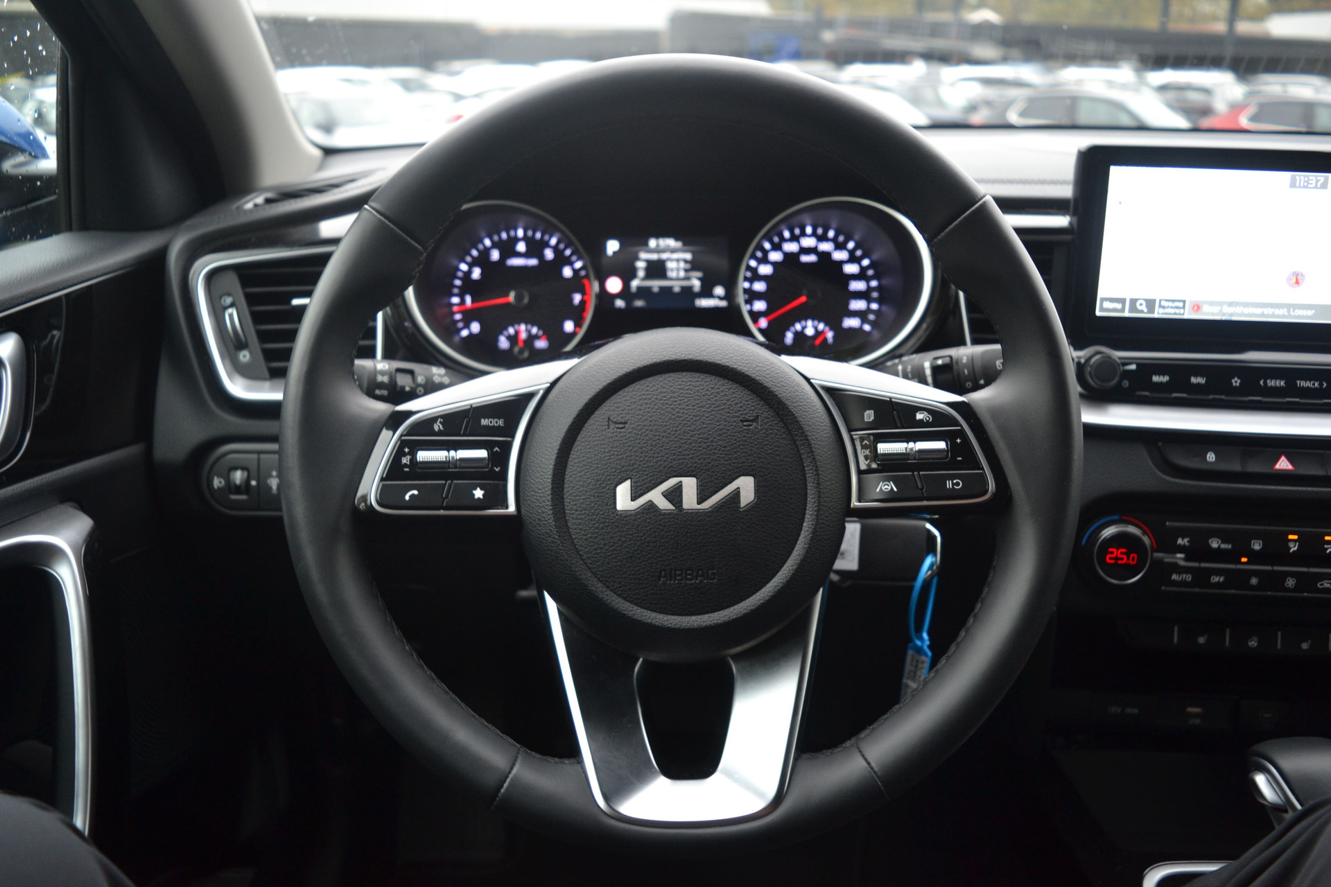 47856258-4.jpg