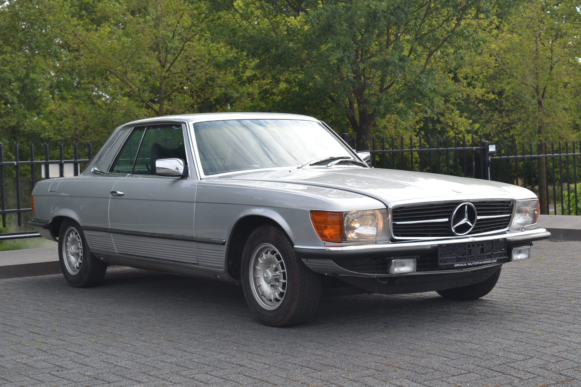 47880866-15.jpg