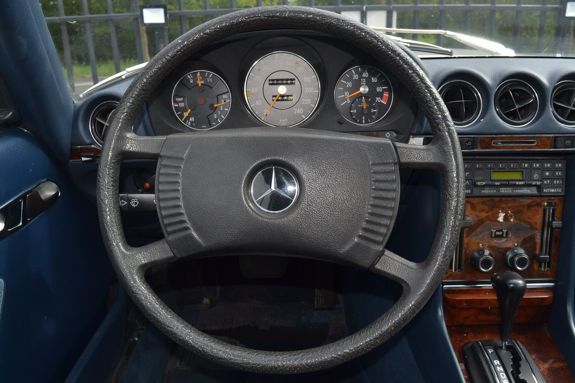 47880866-2.jpg