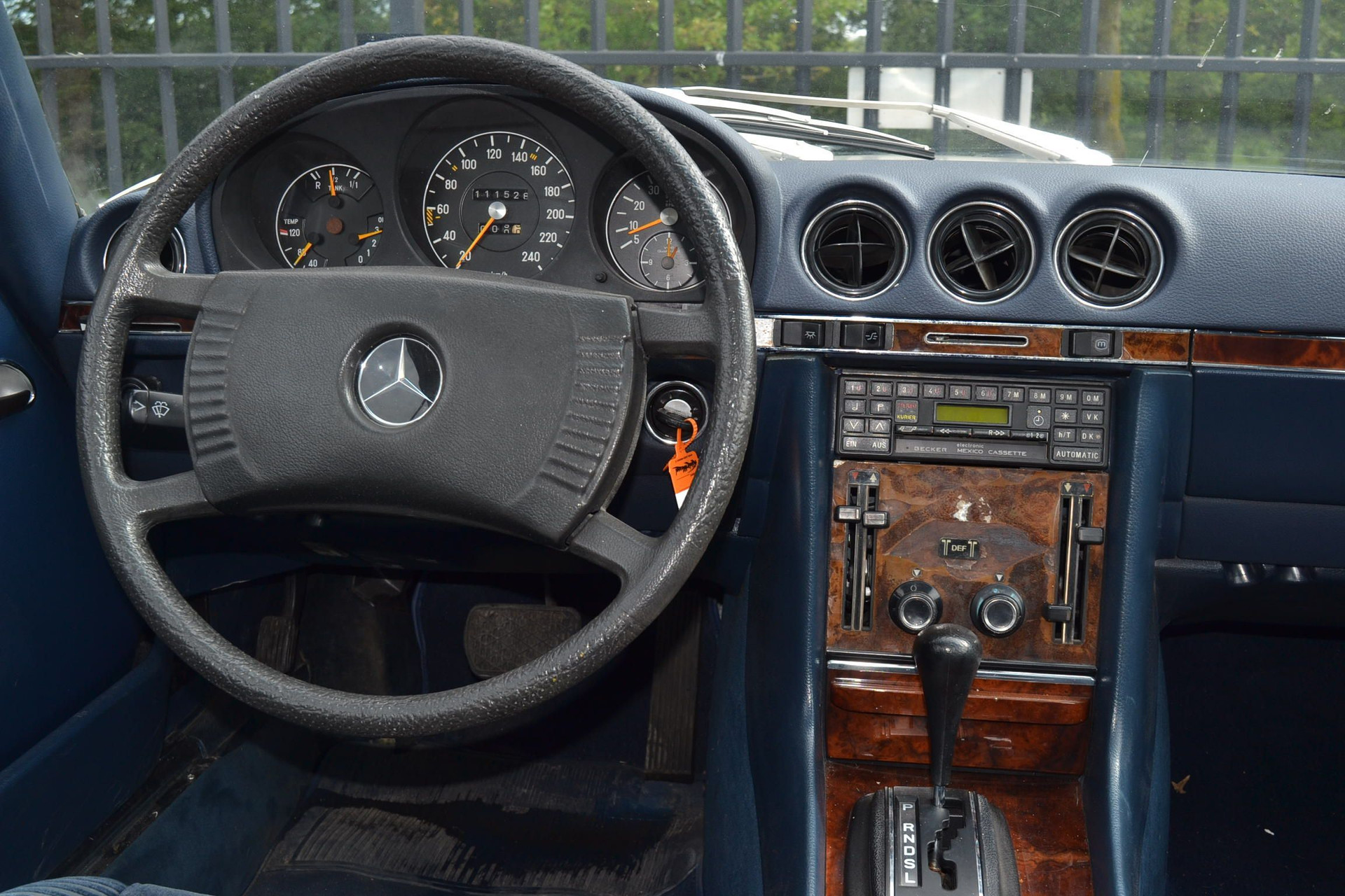 47880866-5.jpg