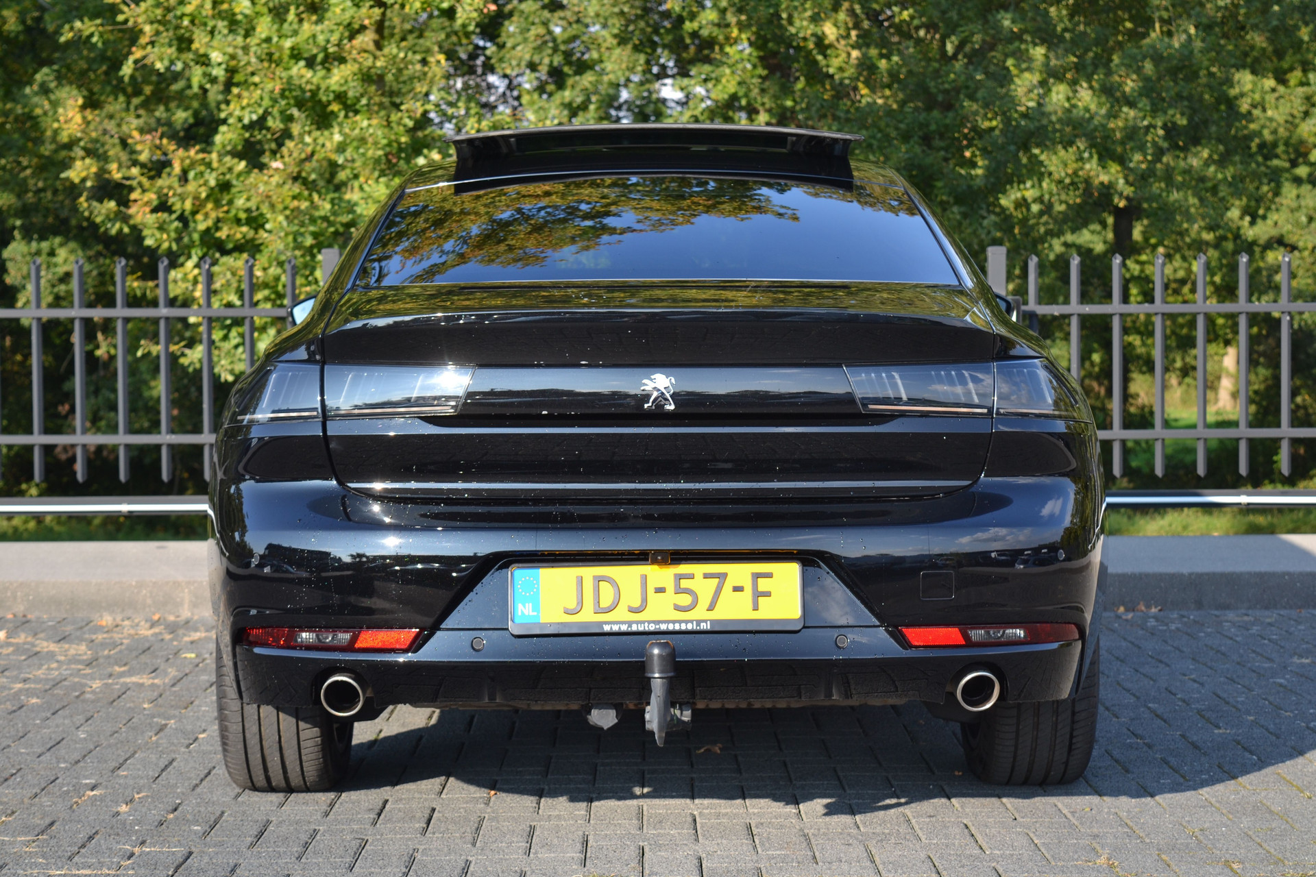 47980762-10.jpg