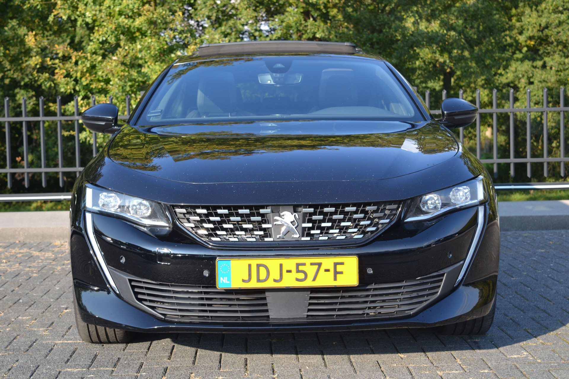 47980762-9.jpg