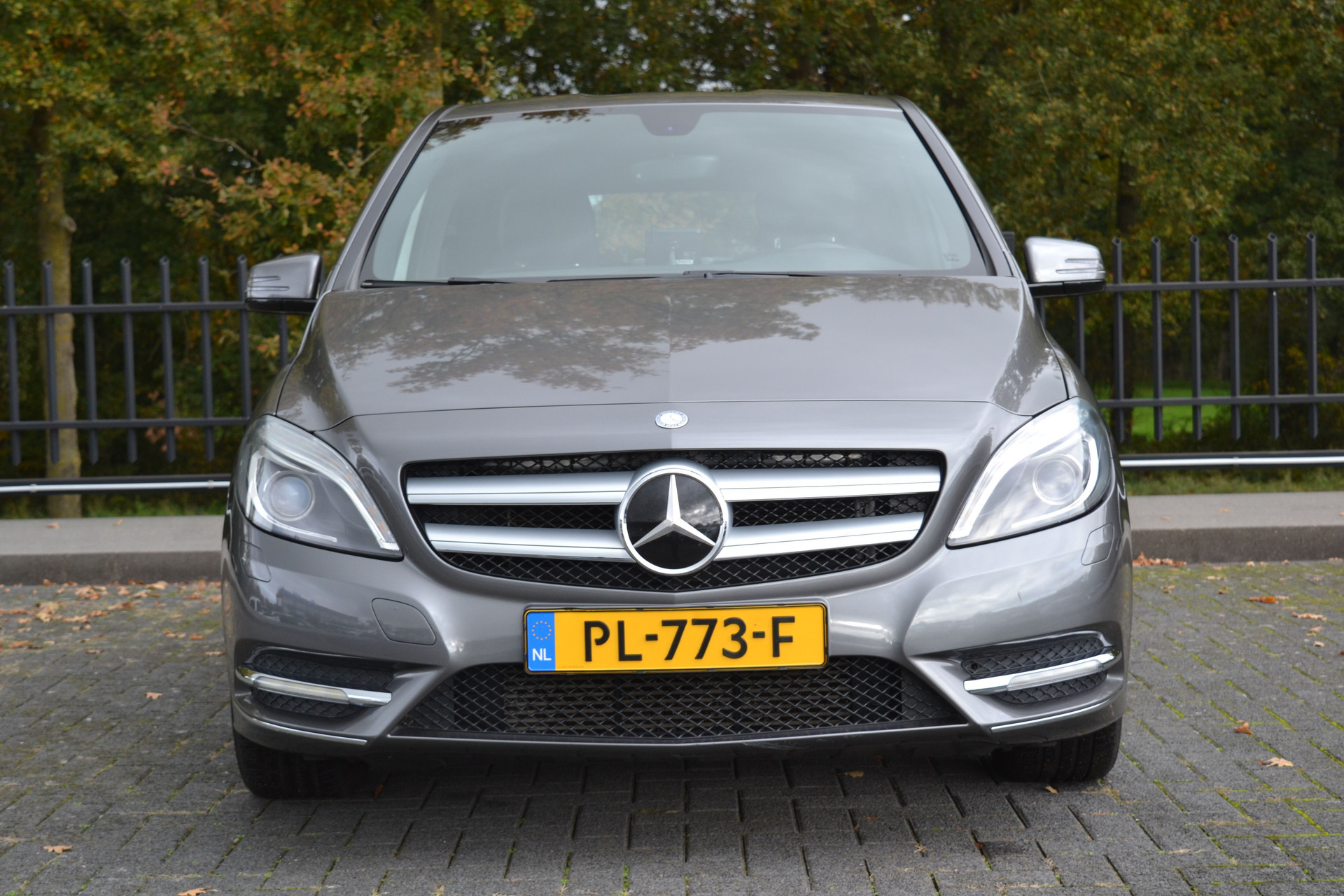 48494020-7.jpg
