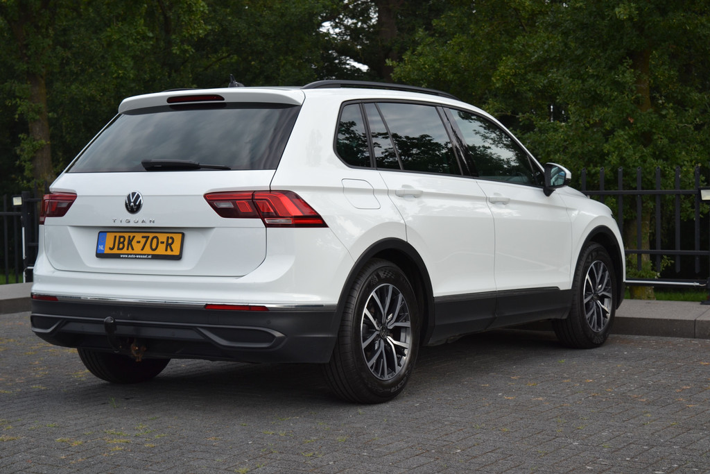 51543303-1.jpg