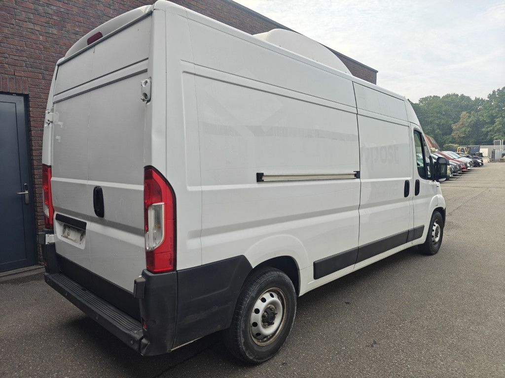 55590282-2.jpg